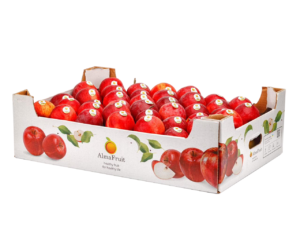 Пластиковий ящик
