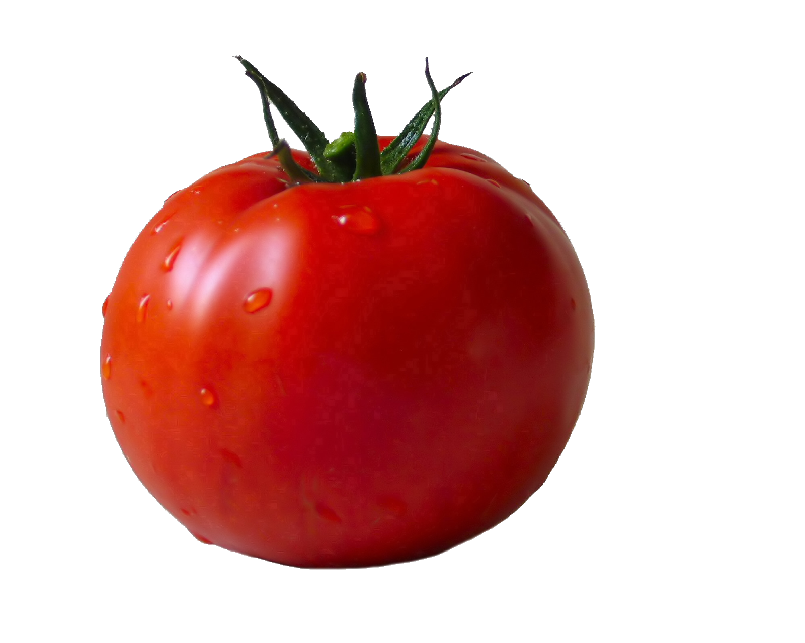 Овочі