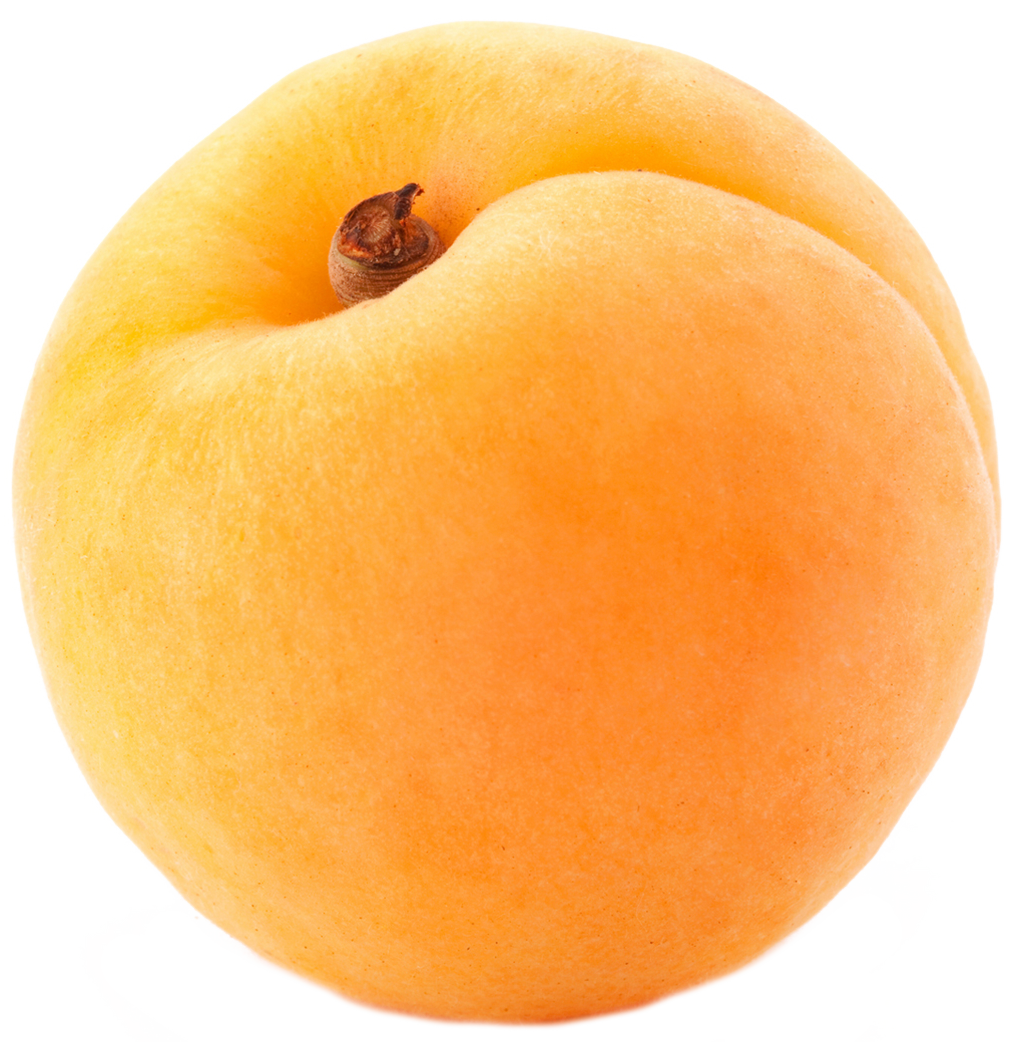 Абрикос