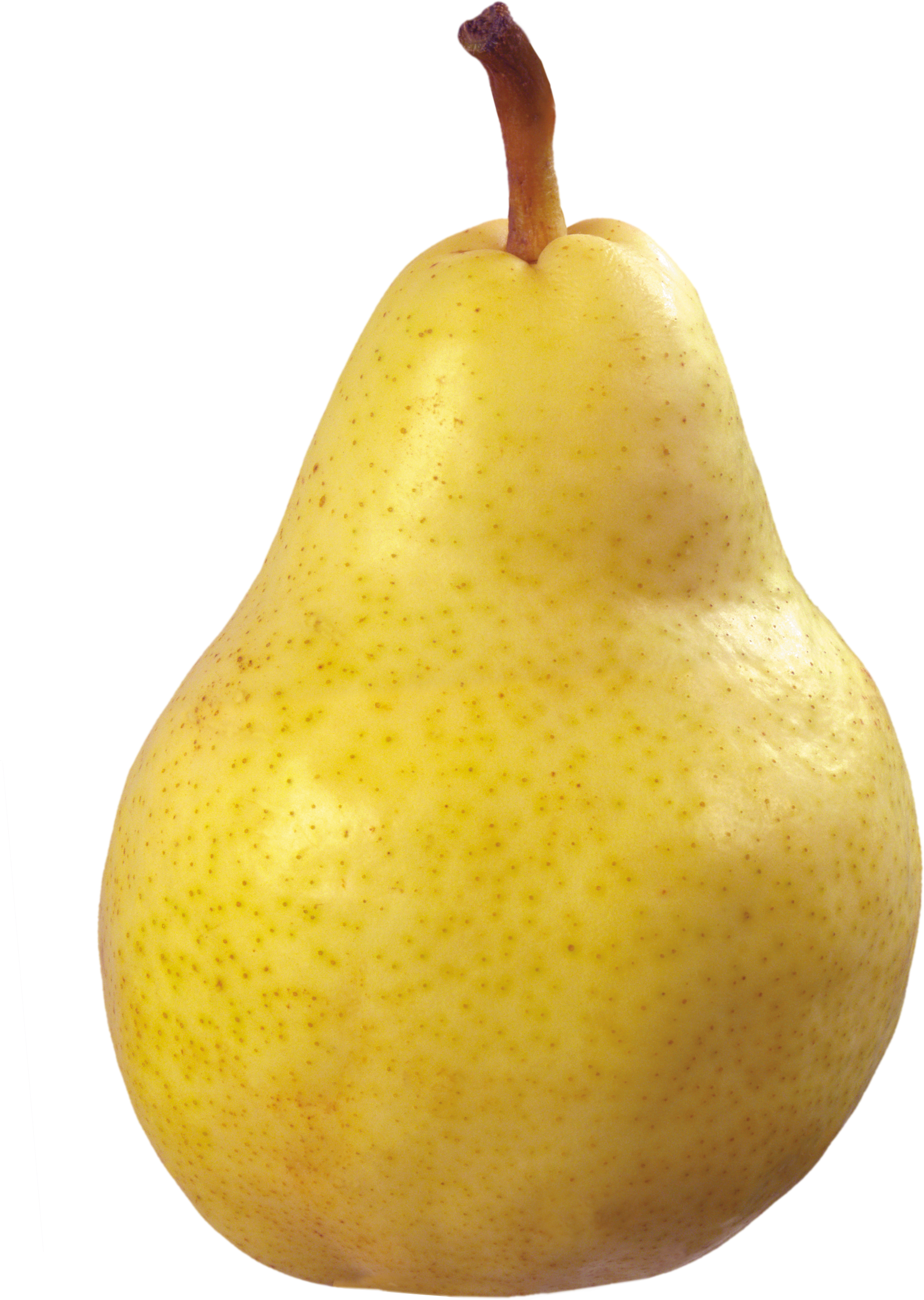 Груша